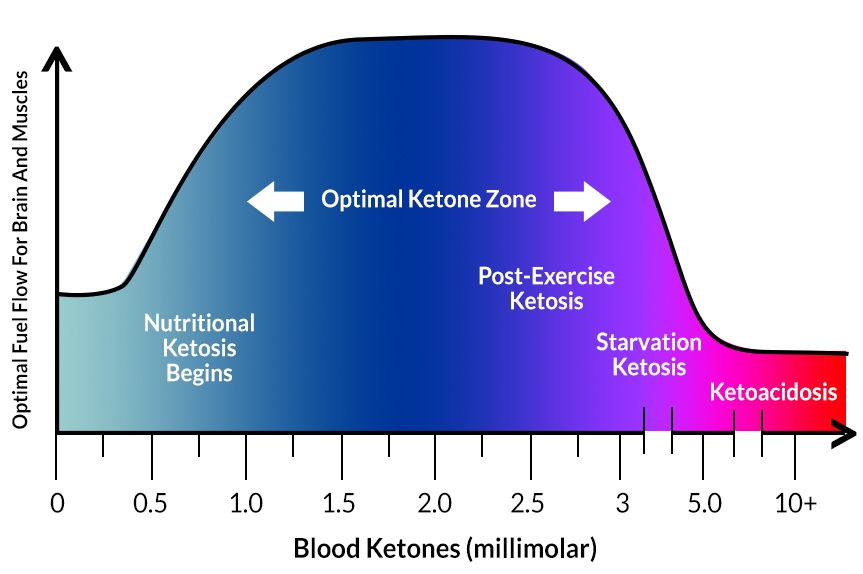 What Is Blood Ketones
