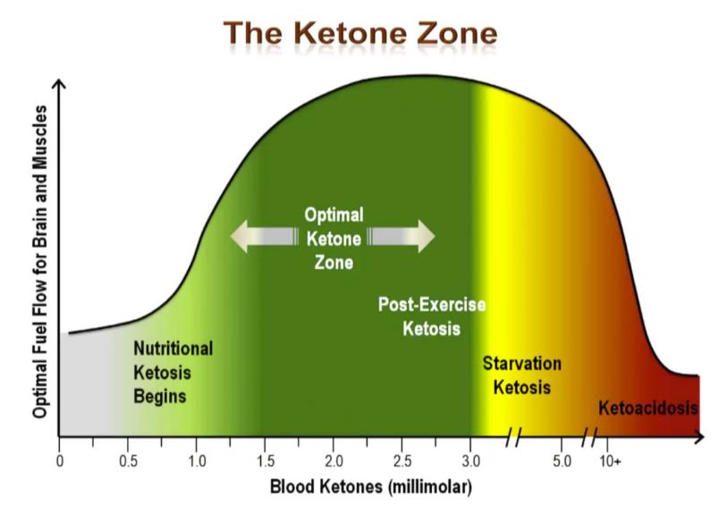 Level of Ketosis