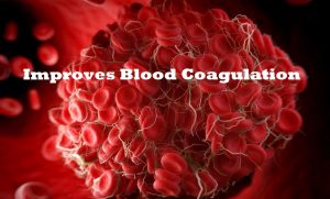 Blood Coagulation