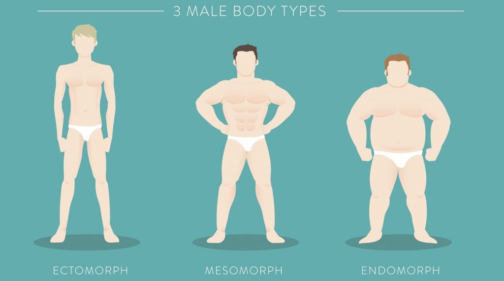 Three Male Body Types