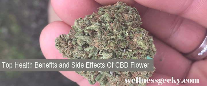 CBD Flower – Top Health Benefits and Side Effects