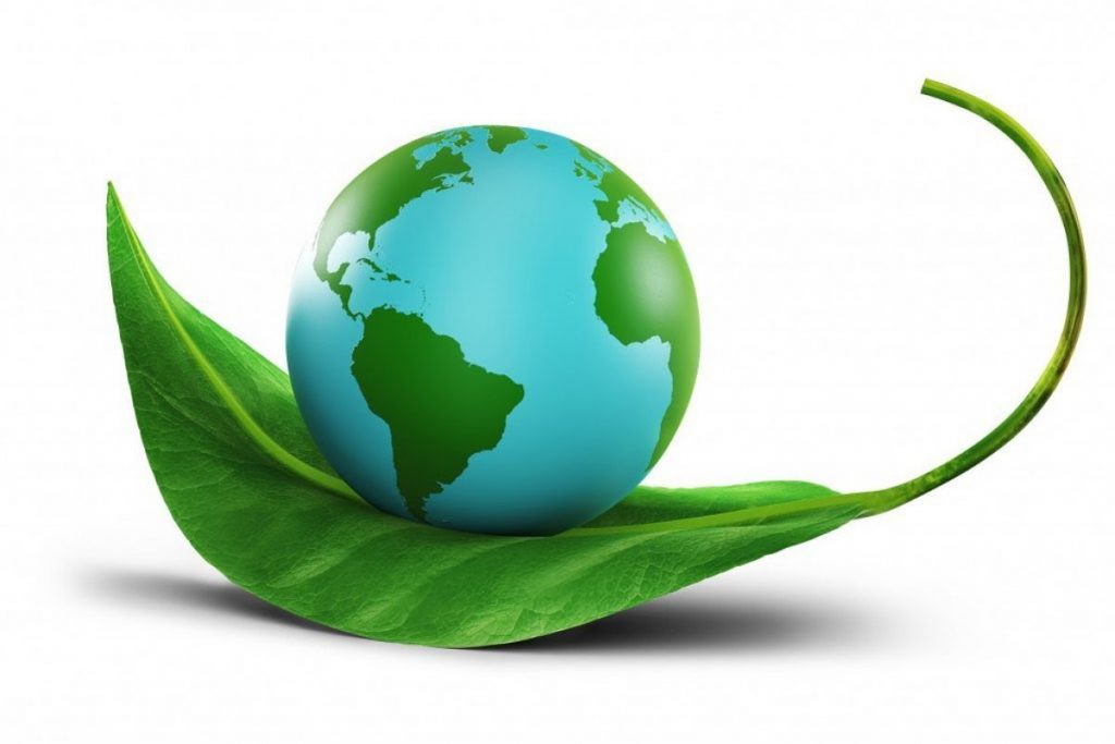 Environmental Awareness And Earth