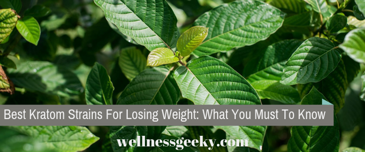 Best Kratom Strains For Losing Weight – Everything You Need to Know