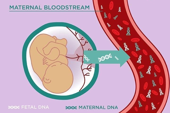 Maternal DNA