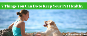 7 Things You Can Do to Keep Your Pet Vibrantly Healthy