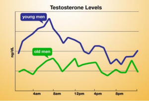 Testosterone Level