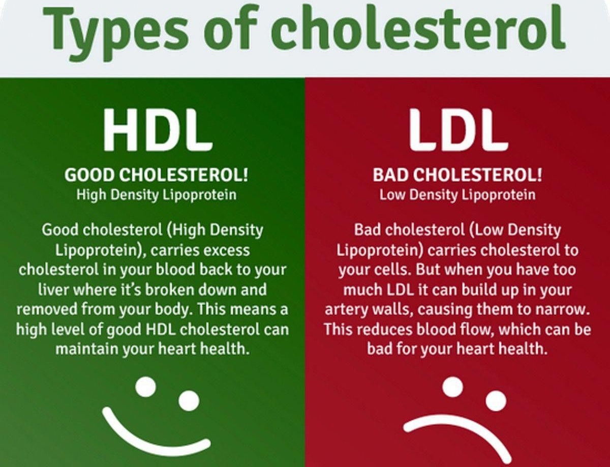 Two Types of Cholesterol