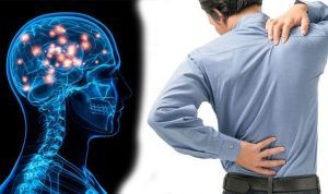 Back Pain And Mental Health