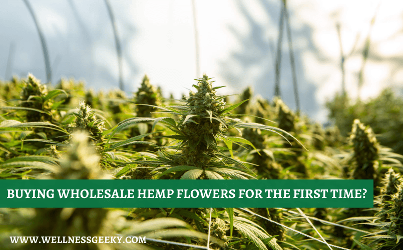 Buying Wholesale Hemp Flowers For the First Time? Here’s a Guide For You